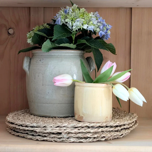 Small Yellow Pot 2
