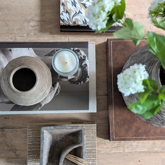 Michelangelo Book