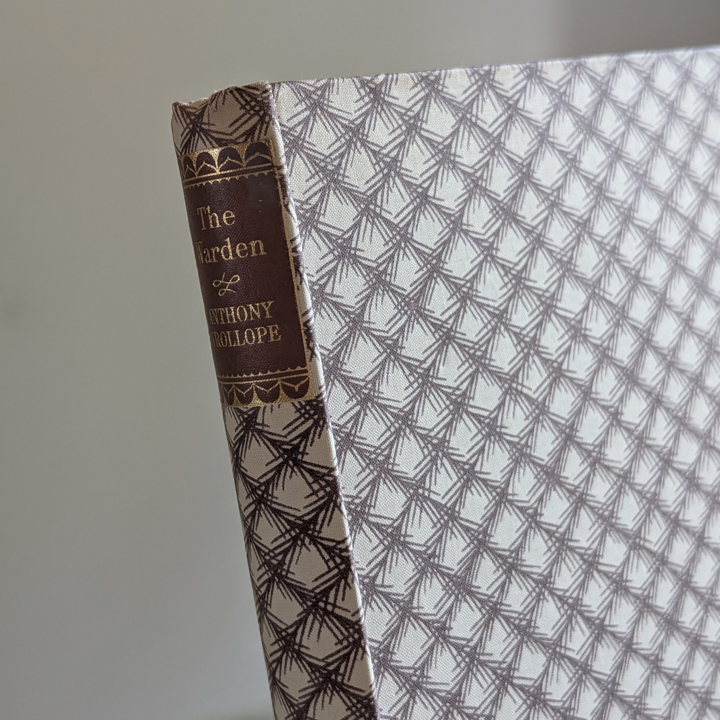 The Warden Book 1