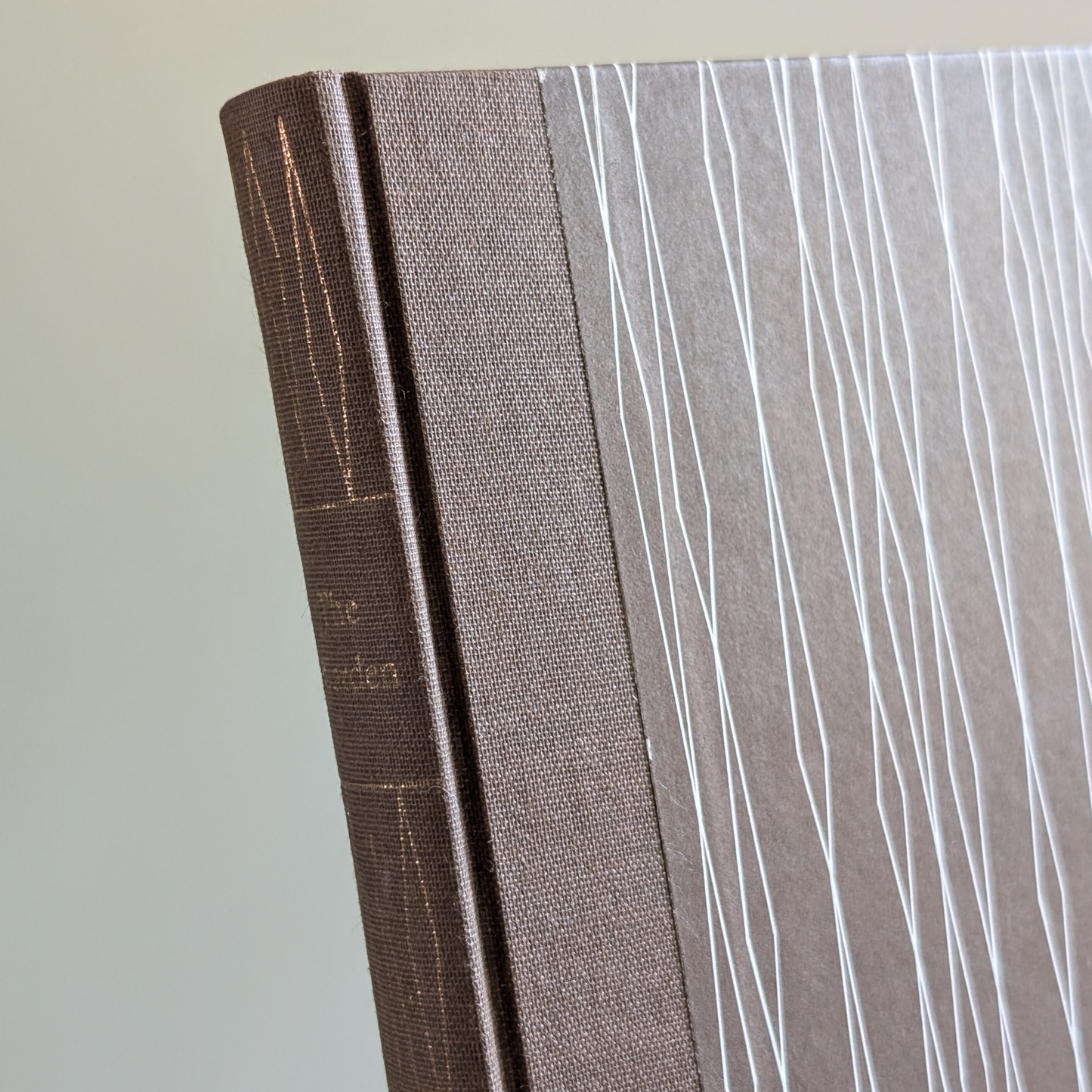 The Warden Book 2