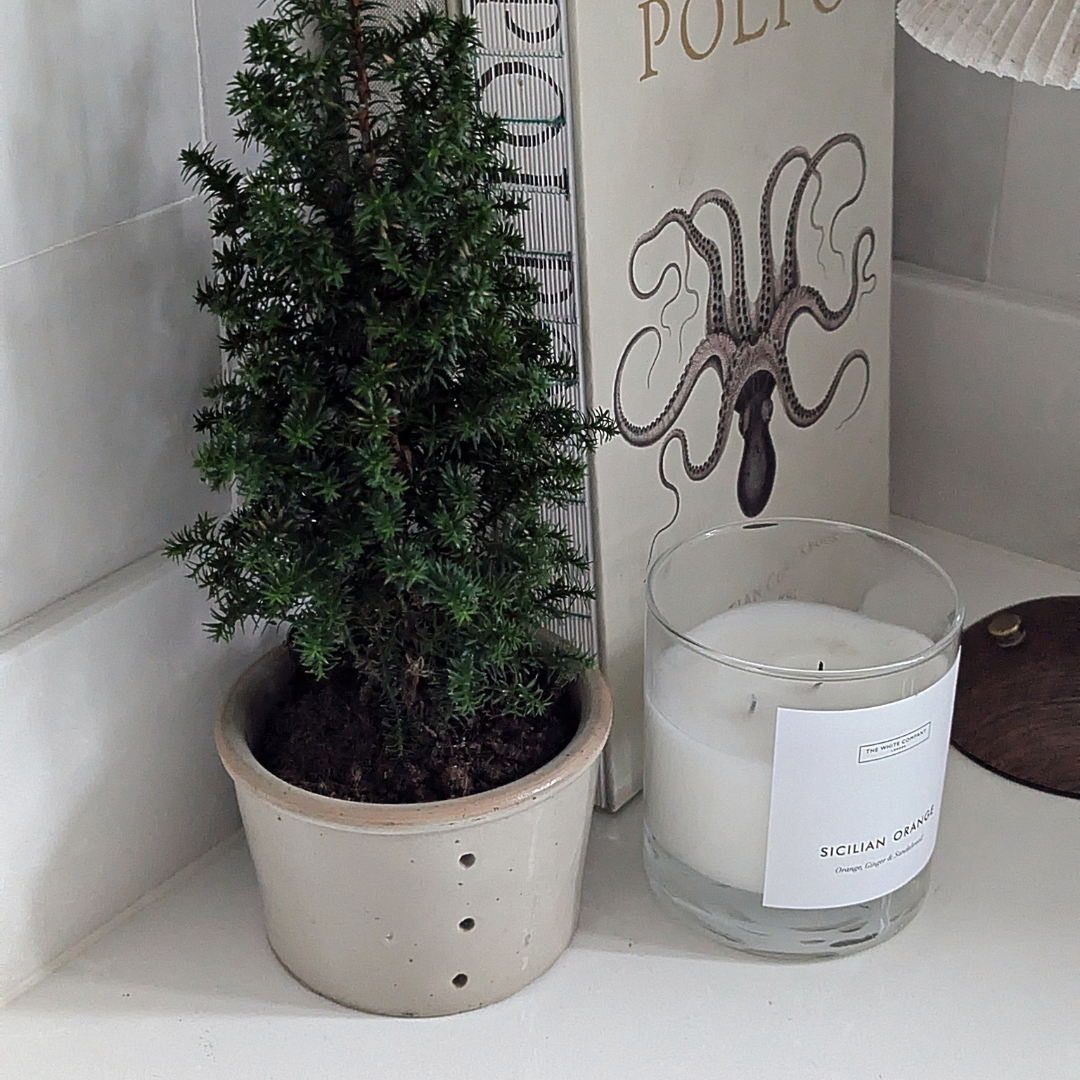 Medium Cheese Strainer