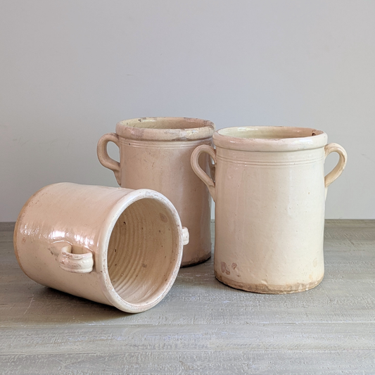 Italian Anchovy Pots