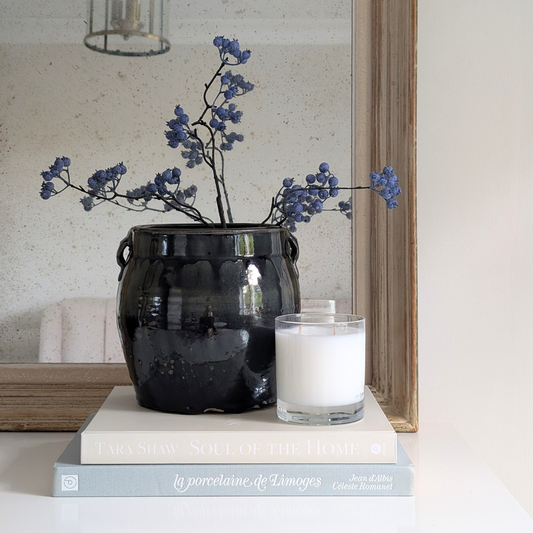 Blue Chinese Preserving Jar