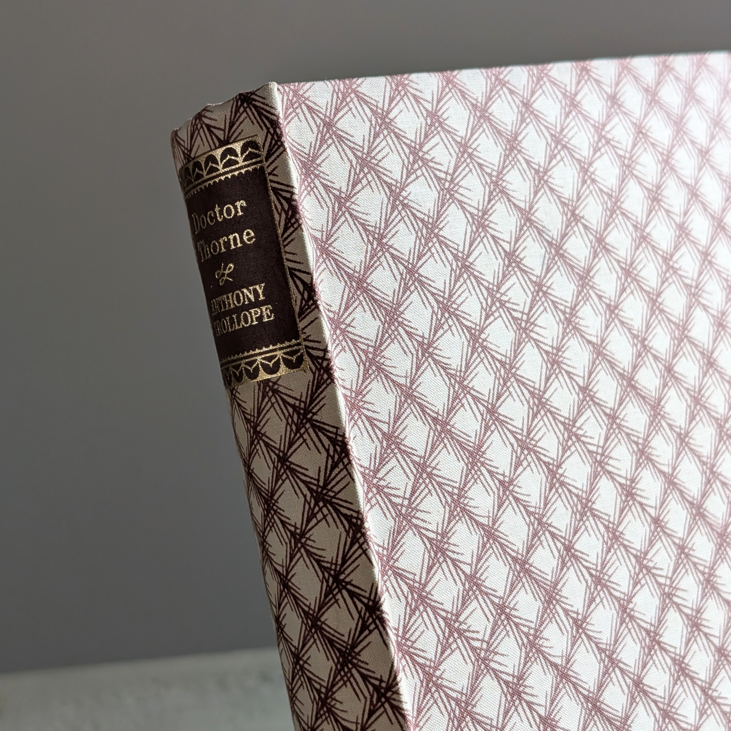 Dr Thorne Book