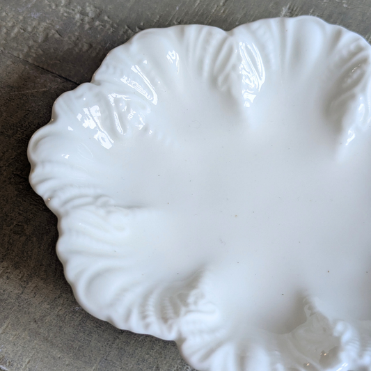 Scalloped Coalport Trinket Dish