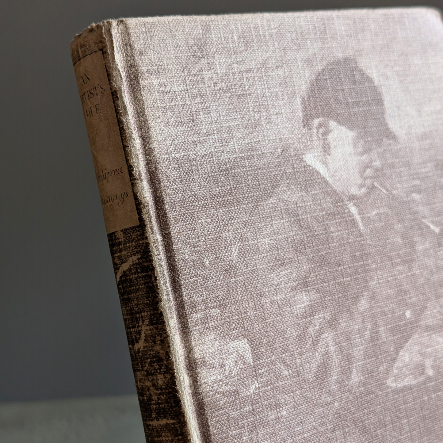 An Artist's Life Book