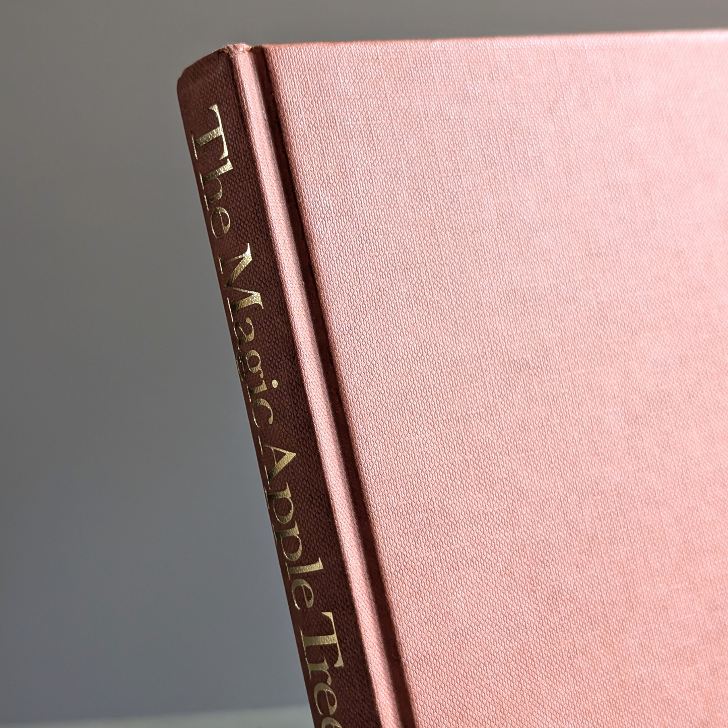 Magic Apple Tree Book