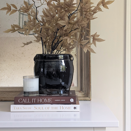 Medium Chinese Preserving Jar 2