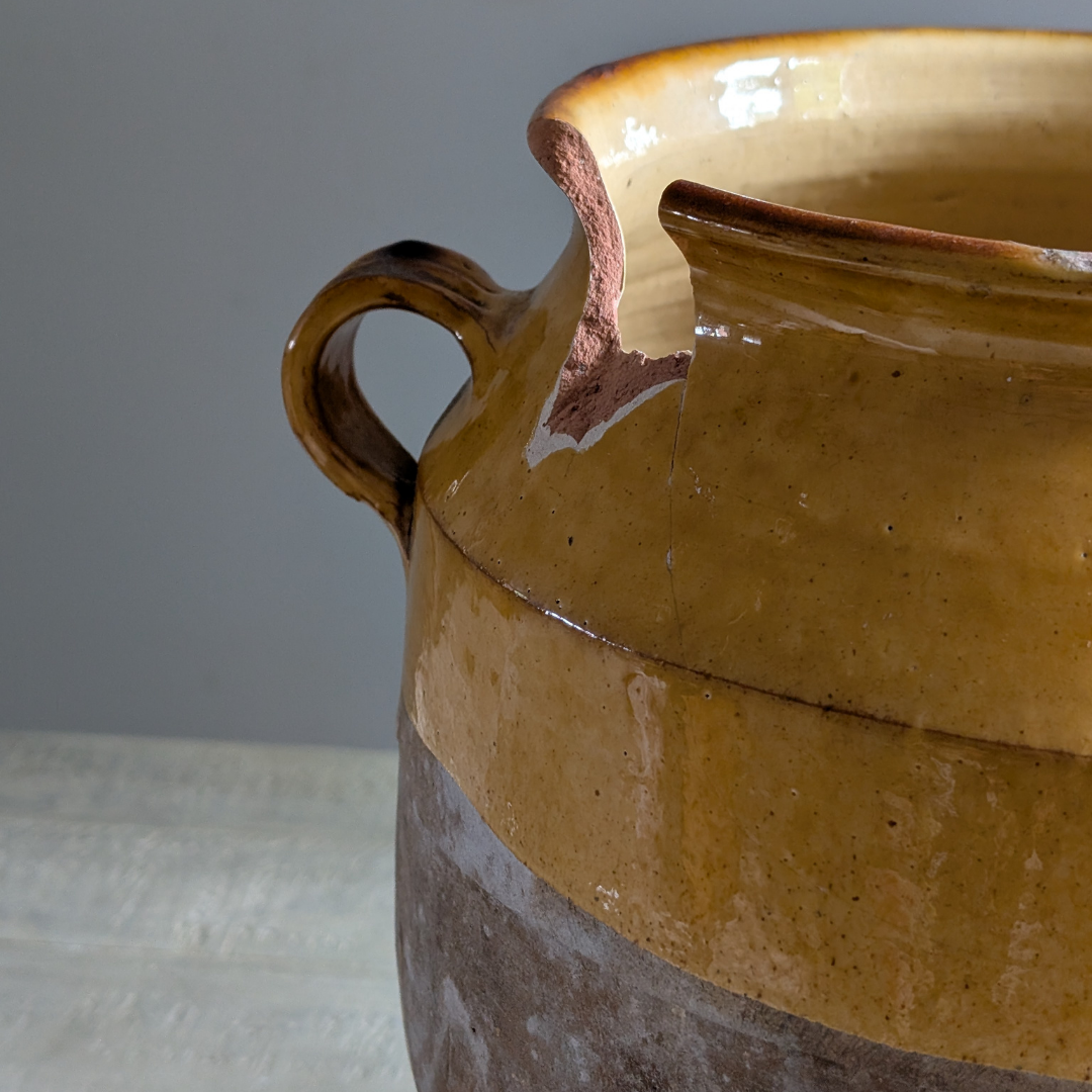 XL Yellow Confit Pot