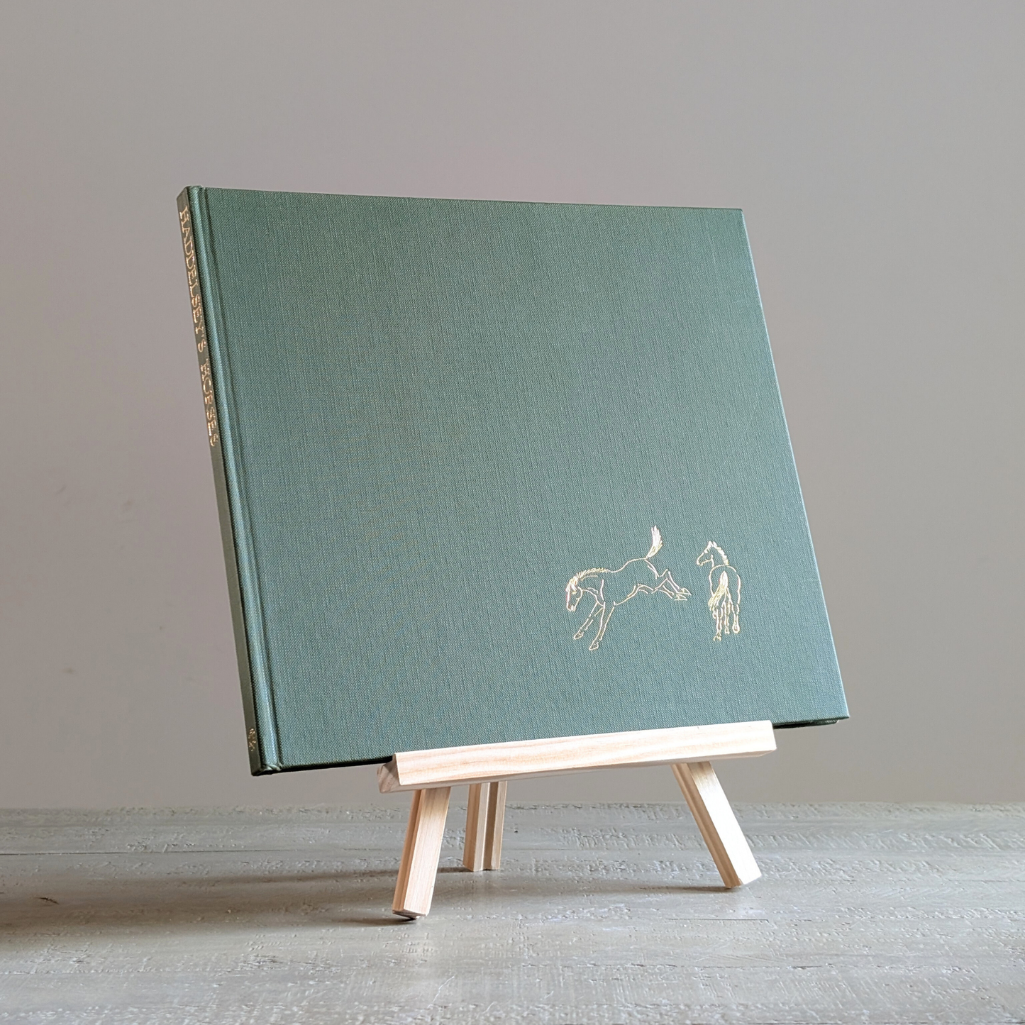 Haddelseys Horses Book