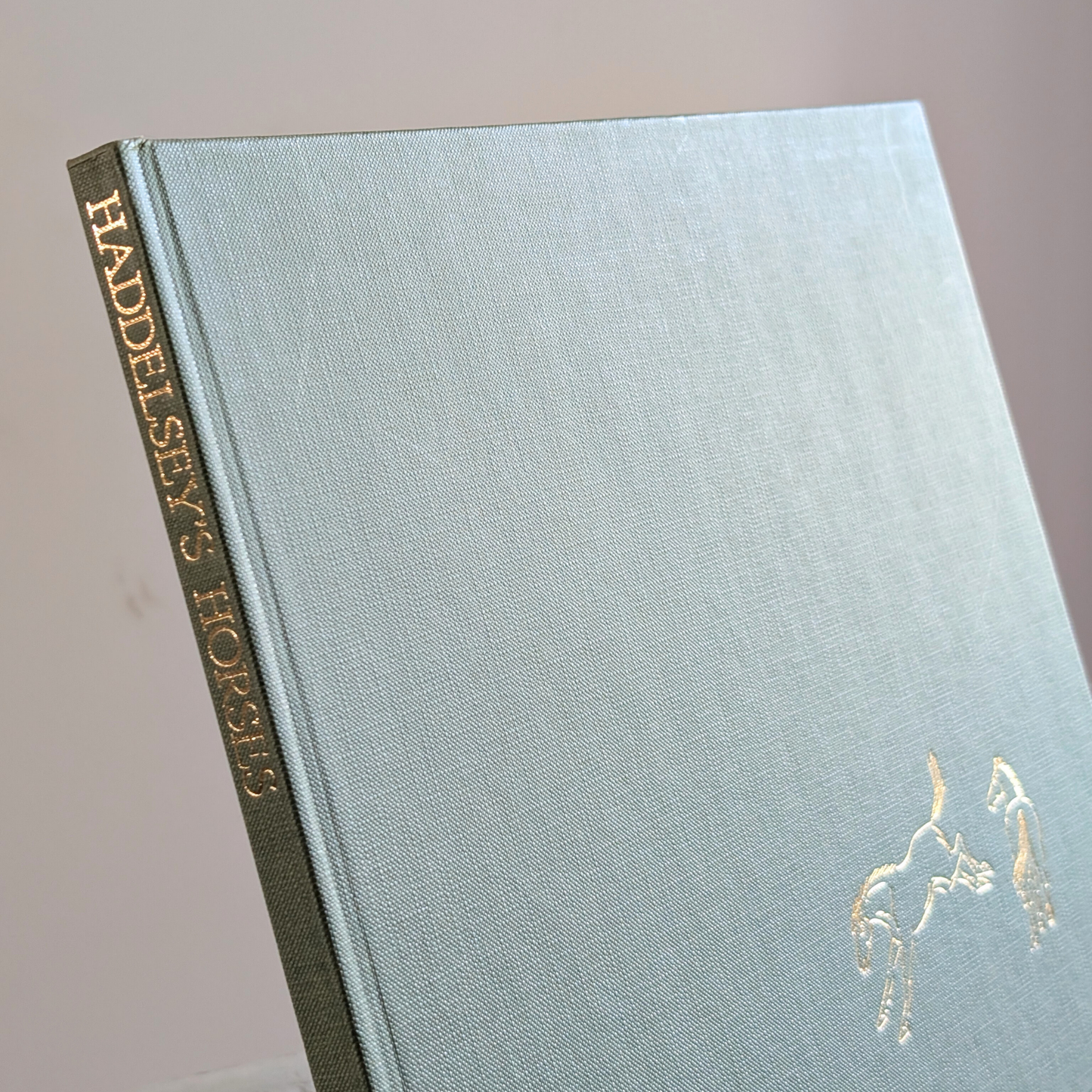 Haddelseys Horses Book