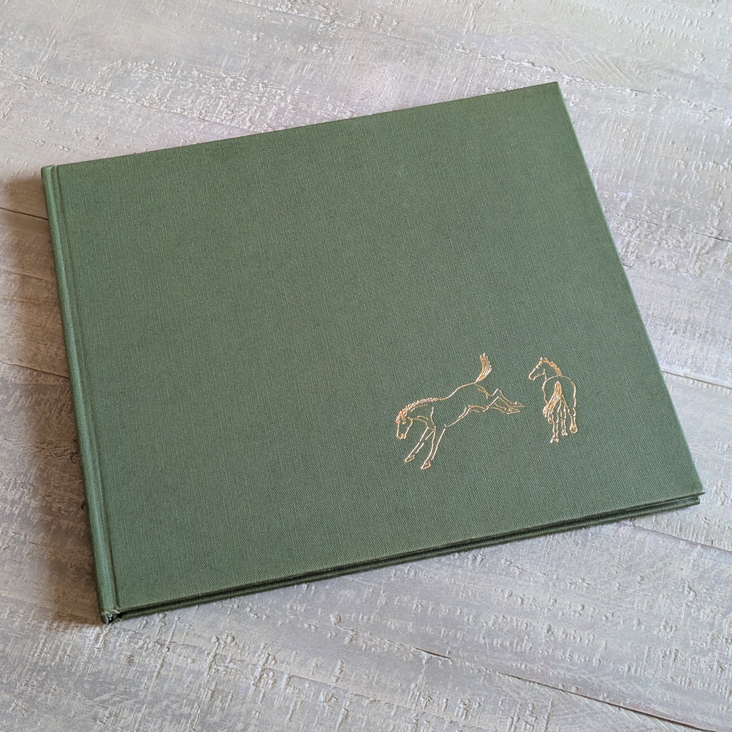 Haddelseys Horses Book