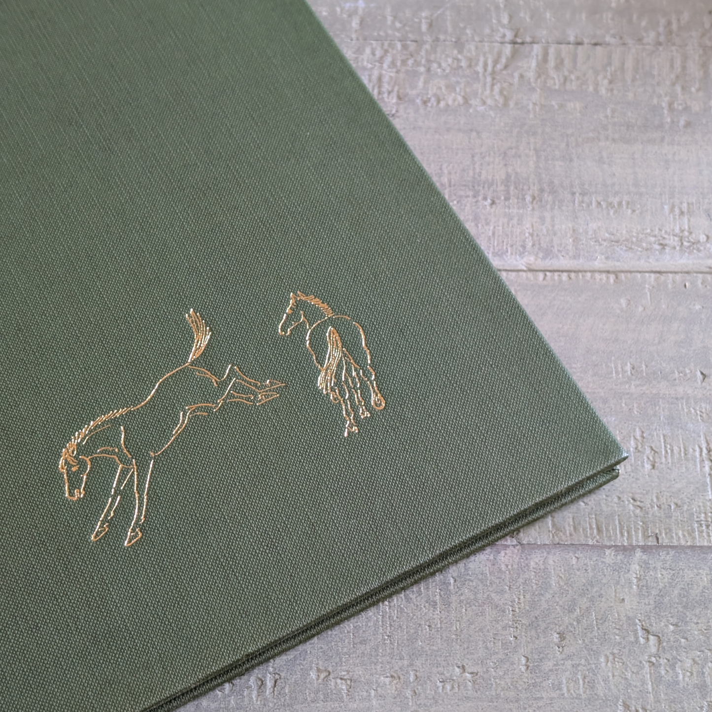 Haddelseys Horses Book