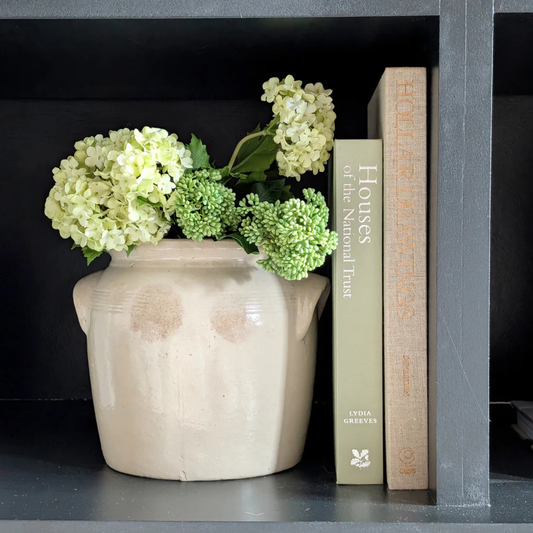 Houses of the National Trust Book