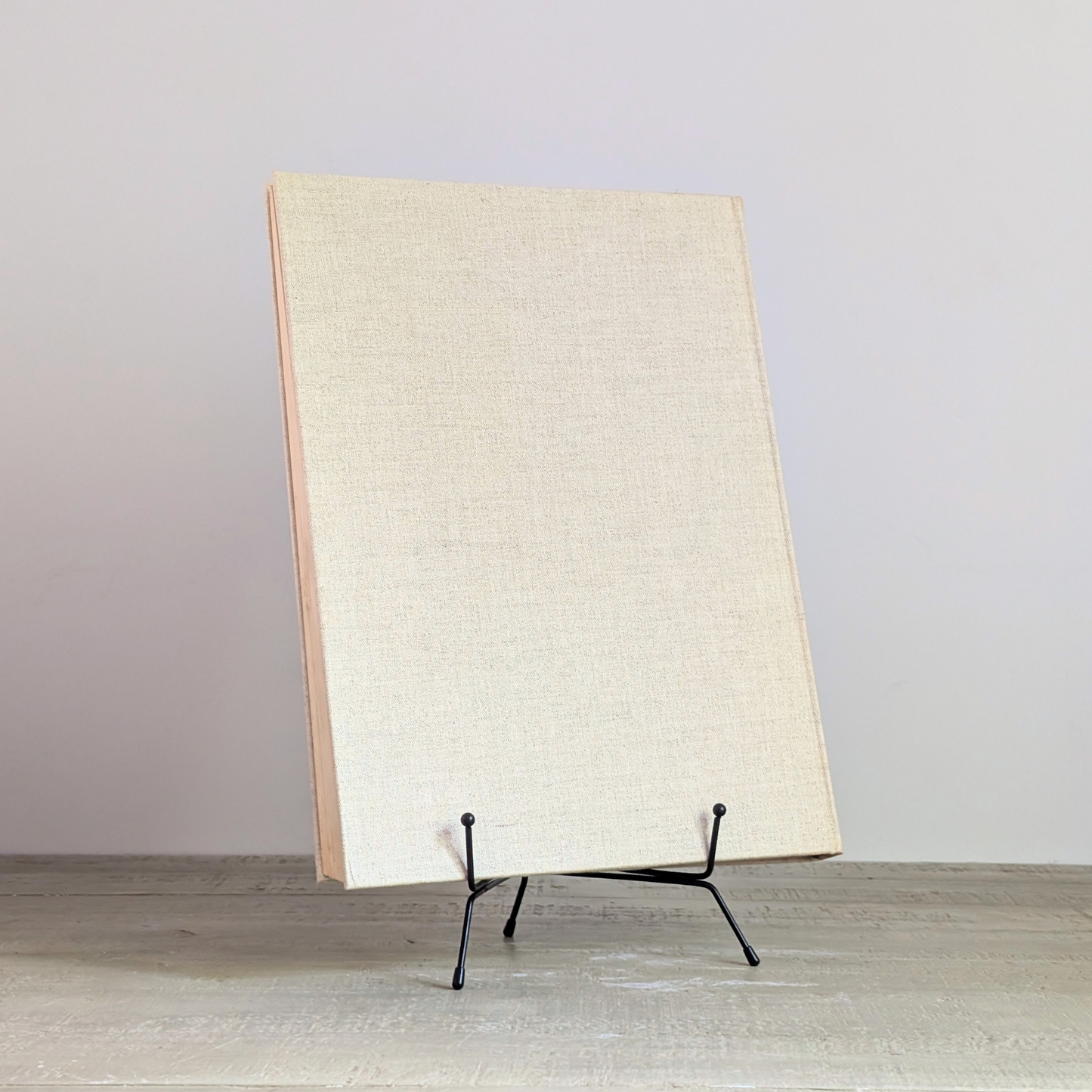 Leonardo Da Vinci Book