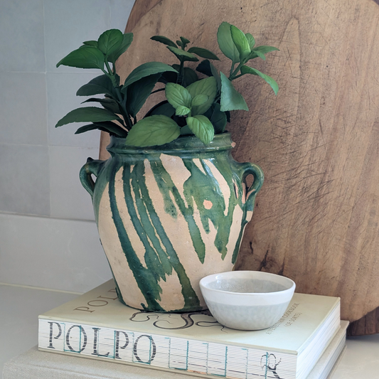Green Spanish Olive Pot