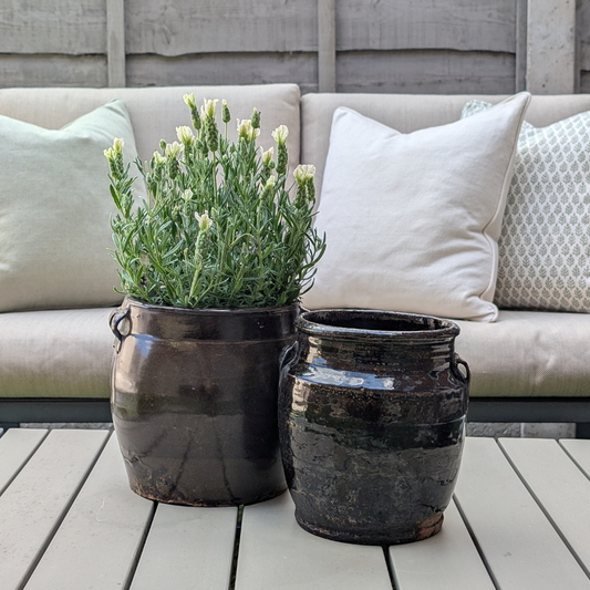 Medium Chinese Preserving Jar