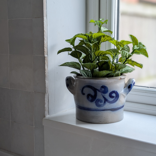 Small Alsace Pot