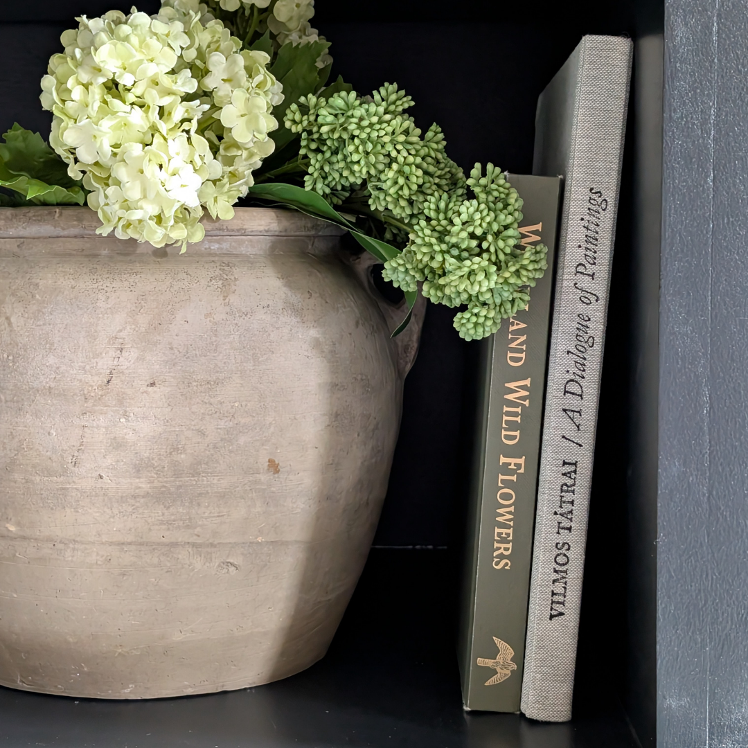 A Dialogue of Paintings Book