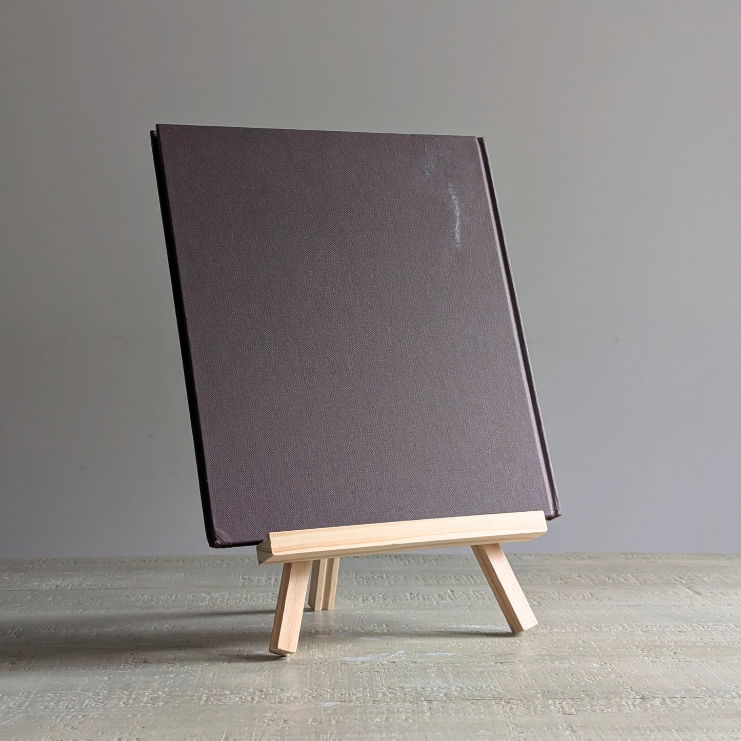 Rembrandt Book