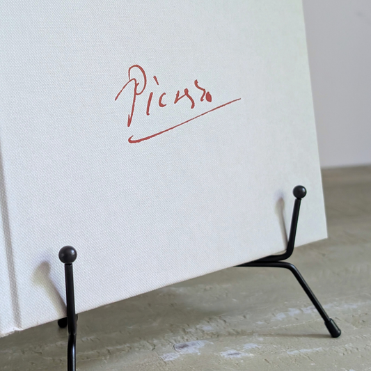A Life of Picasso Book