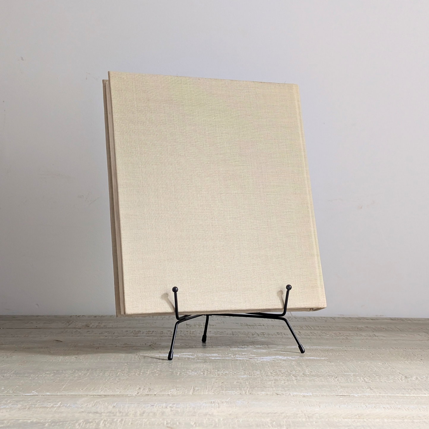 Frans Pins Book