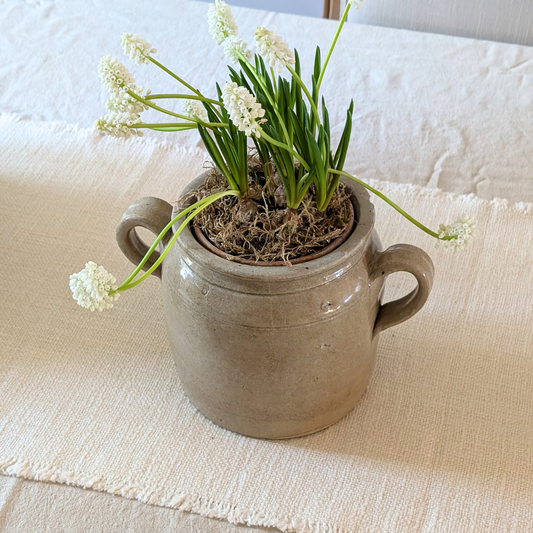 Large Loop Confit Pot 3