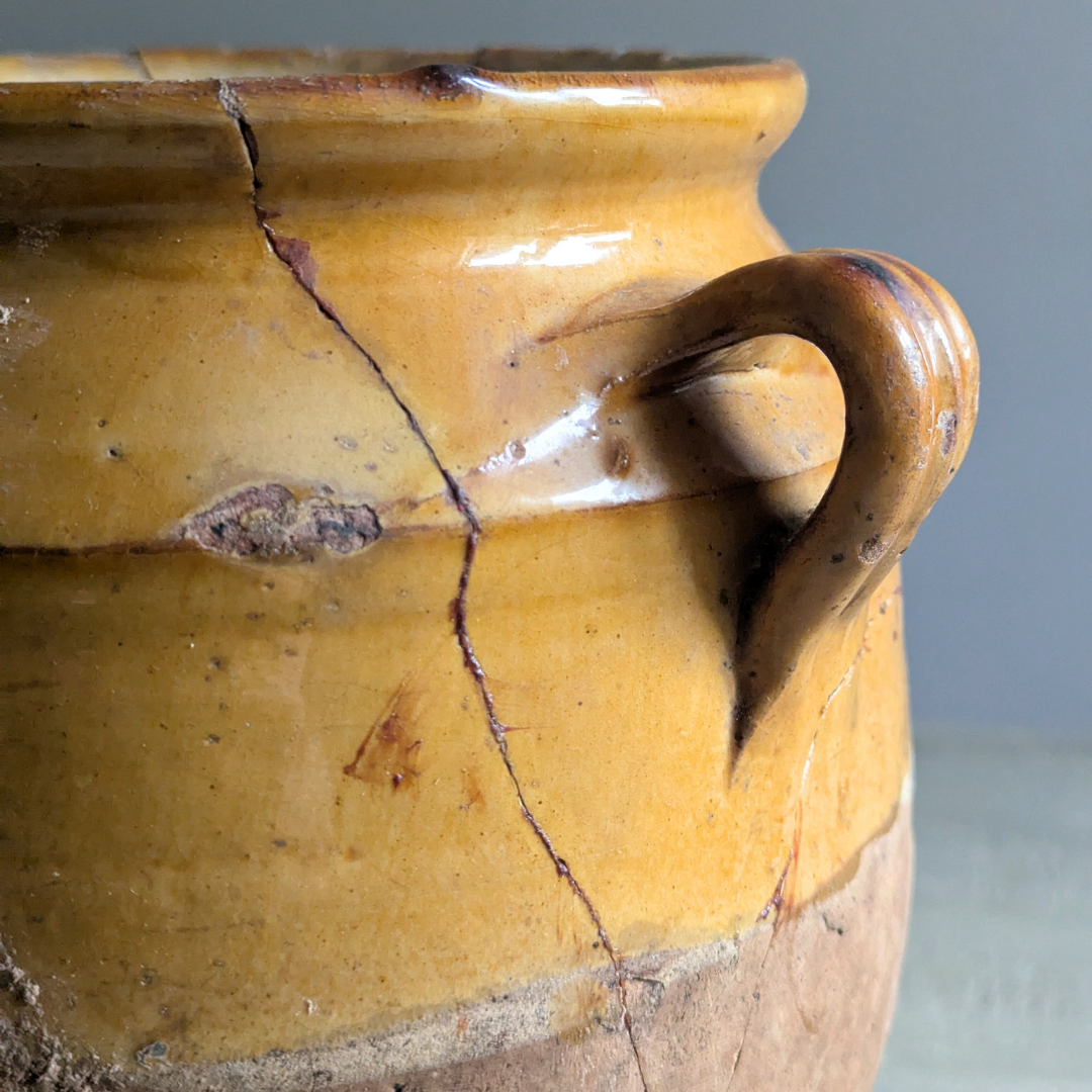 Medium Yellow Confit Pot