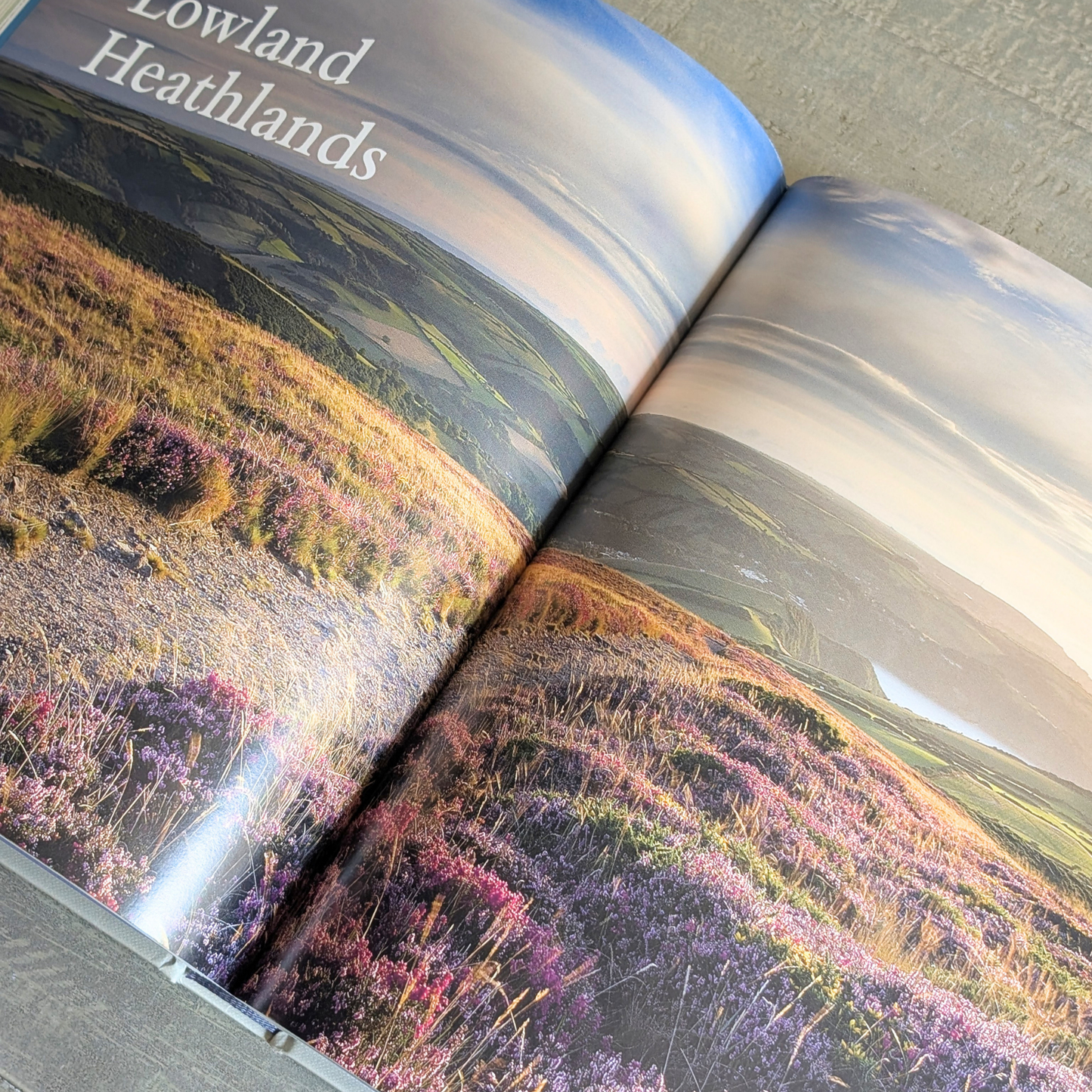 The National Trust Book of the Countryside Book