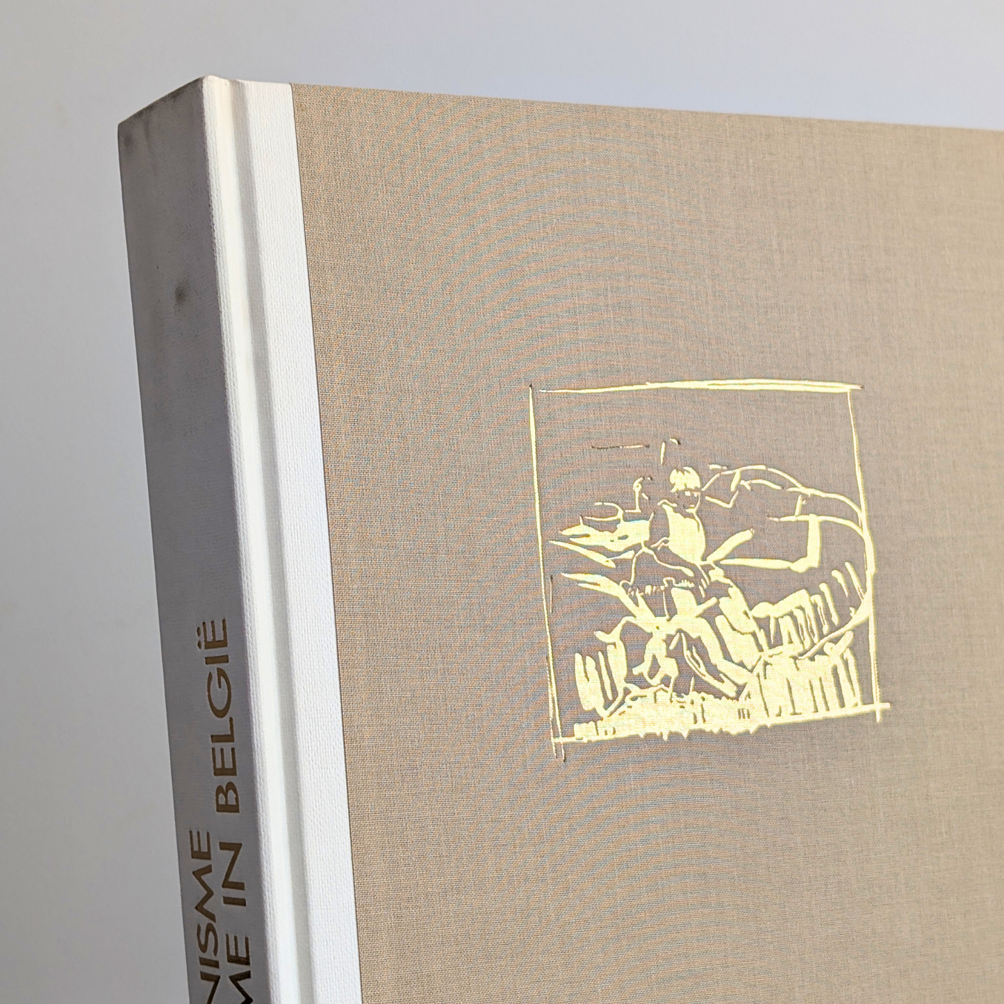 Het Impressionisme en het Fauvisme in Belgie Book