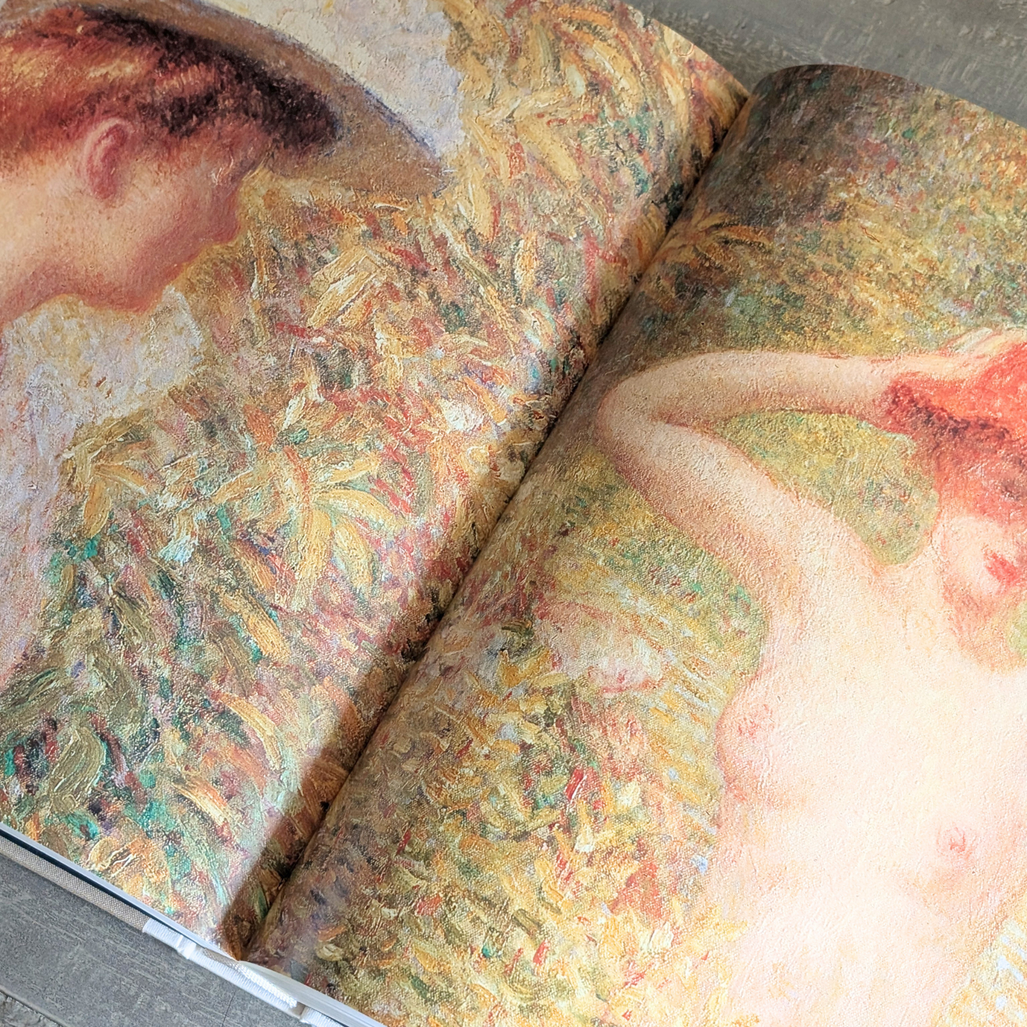 Het Impressionisme en het Fauvisme in Belgie Book