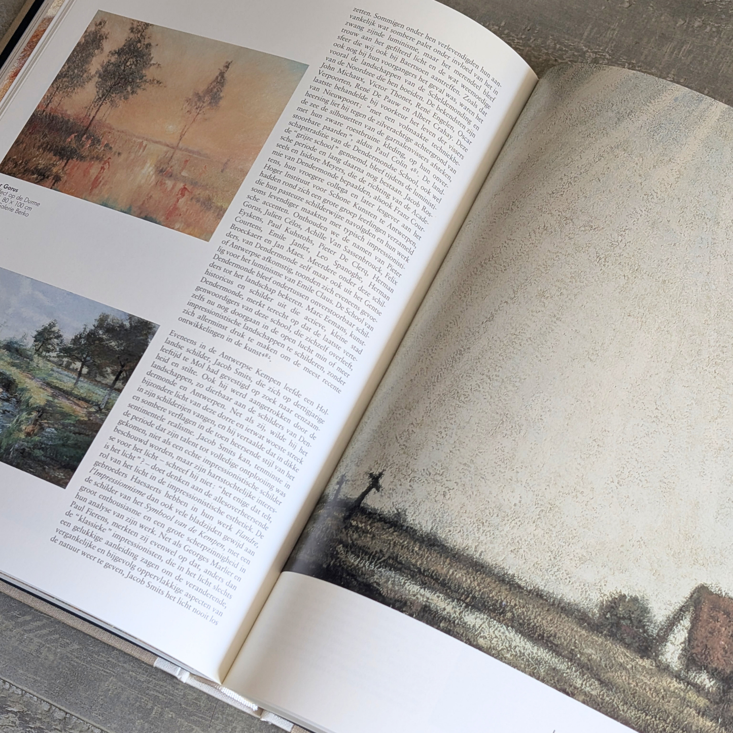 Het Impressionisme en het Fauvisme in Belgie Book