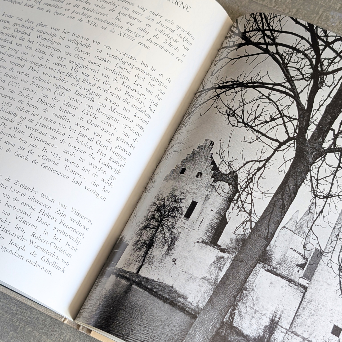 Flandria Illustrata Book