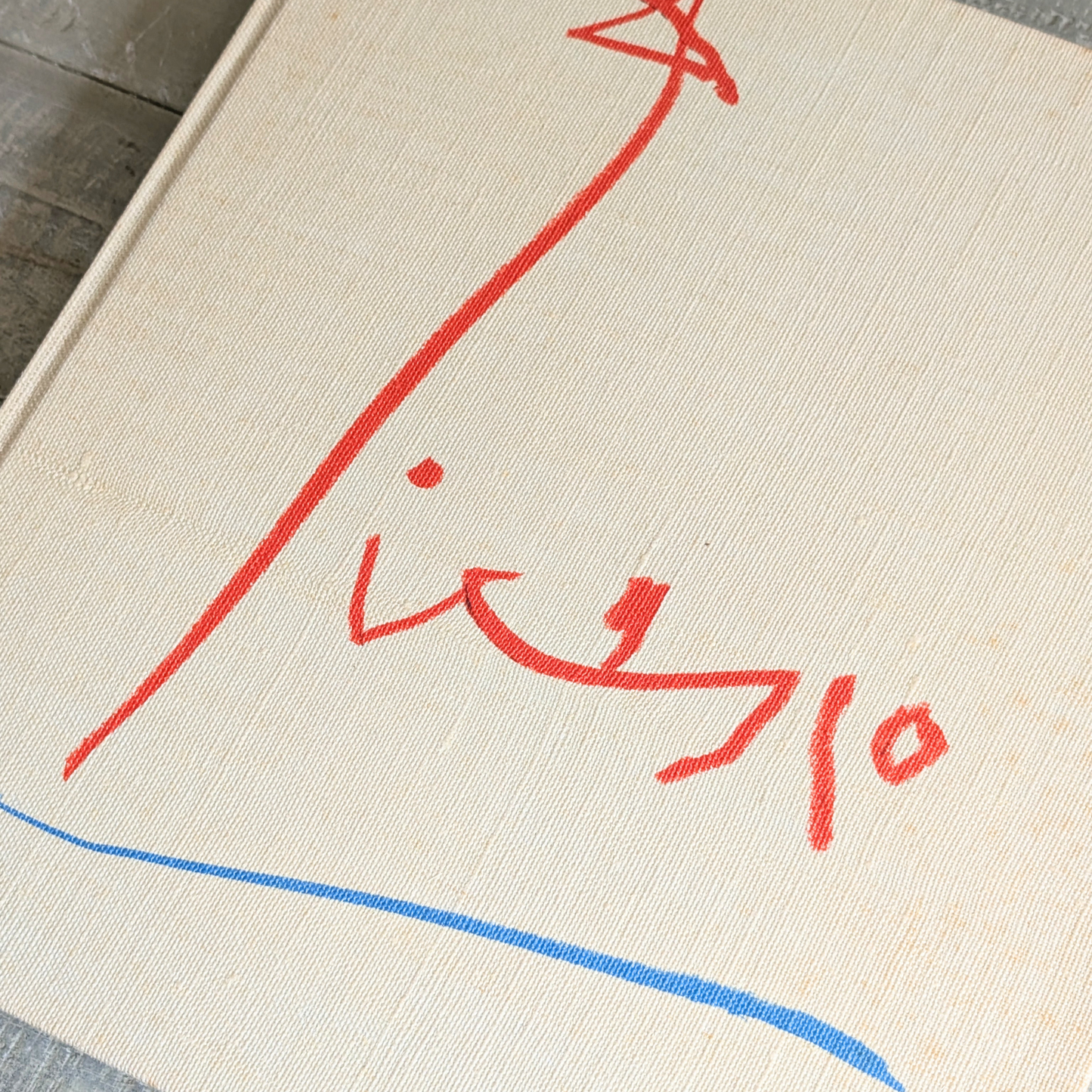 Picasso Le Peintre et son Modele Book