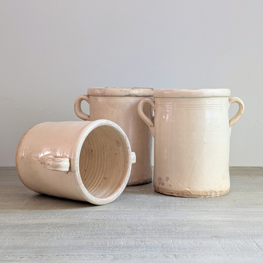 Italian Anchovy Pots