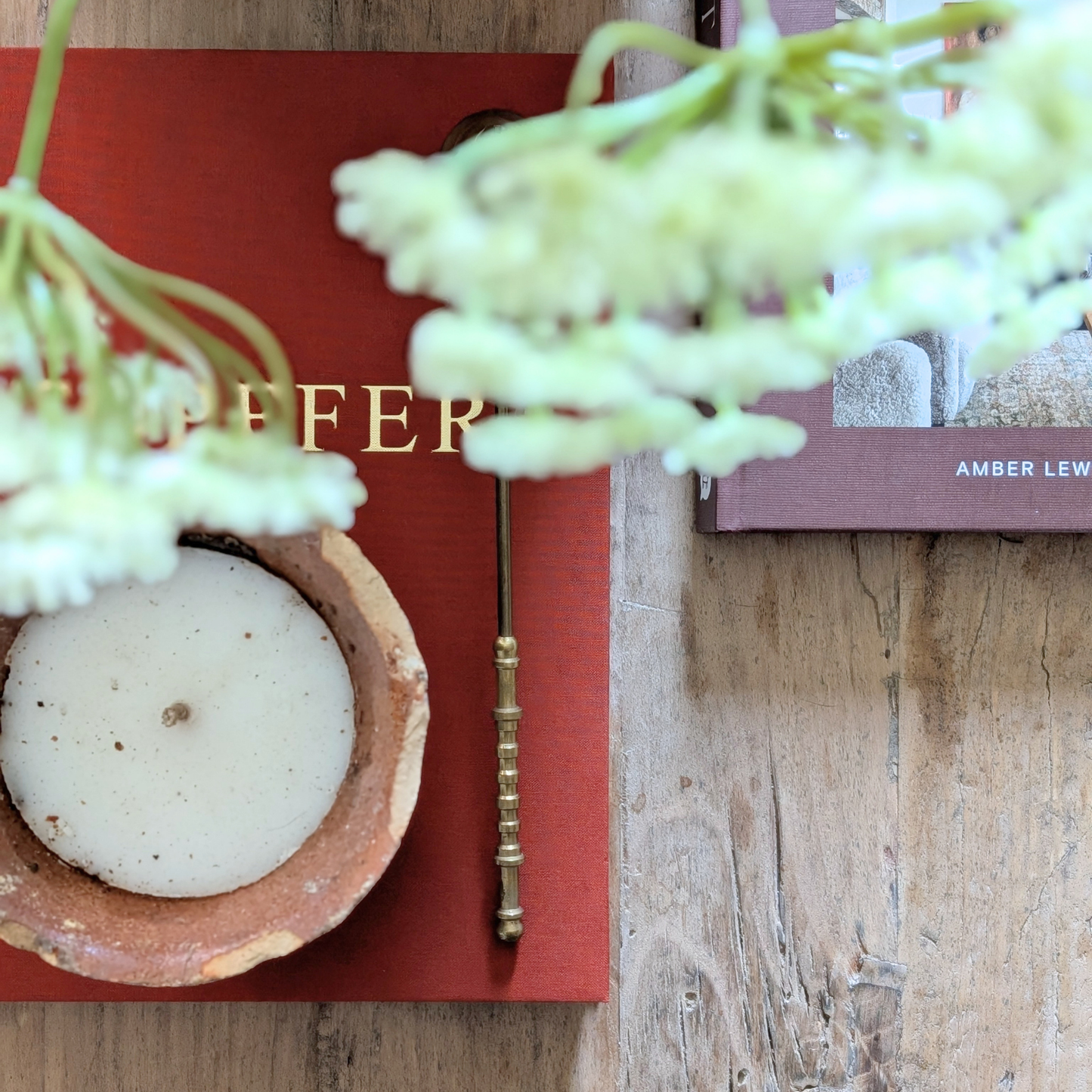 Töpffer Book