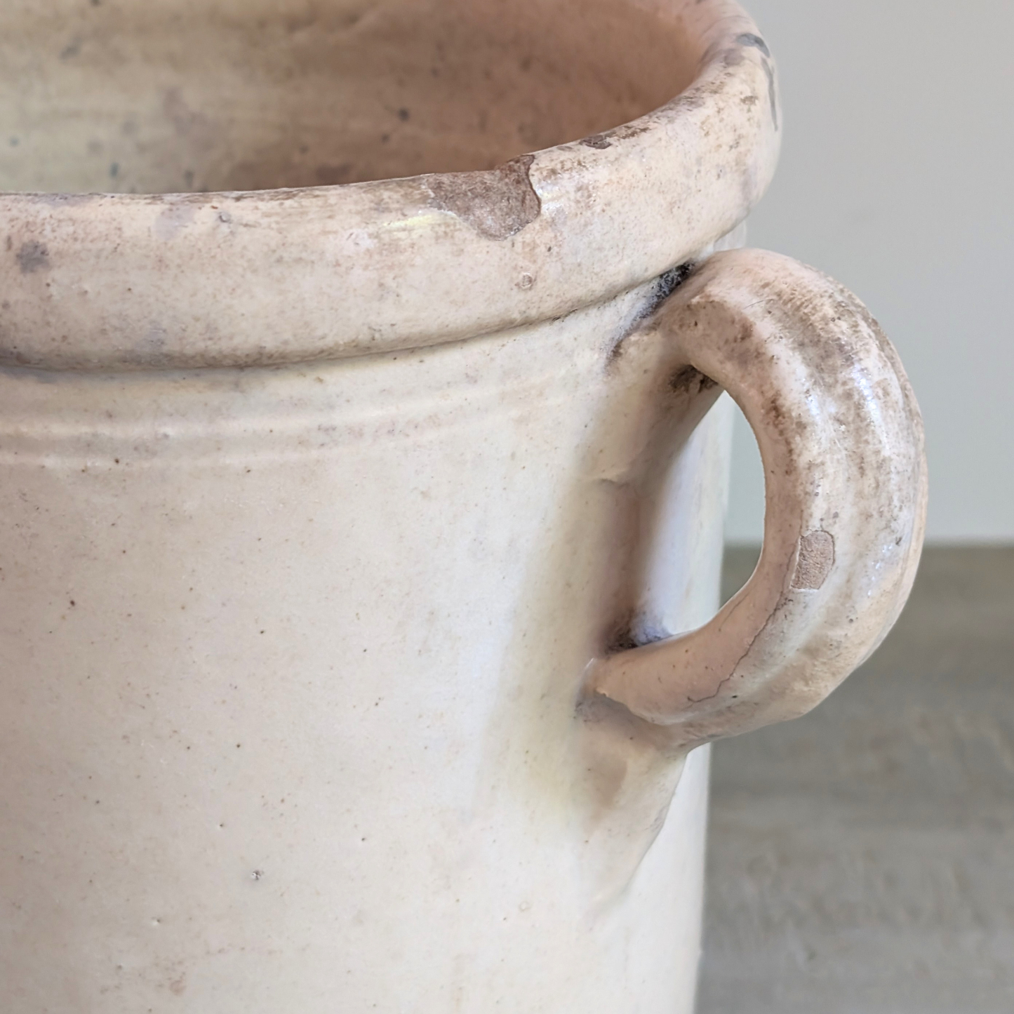 Italian Anchovy Pots