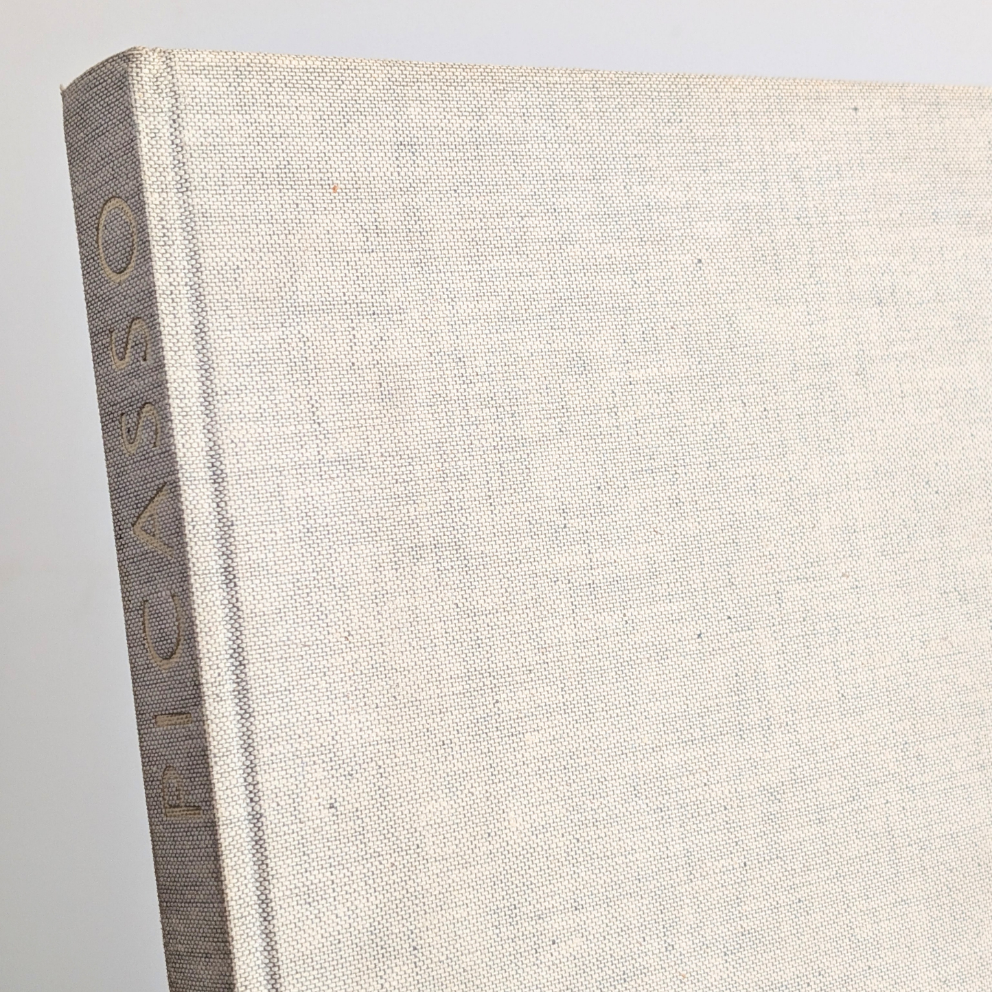 Picasso Book