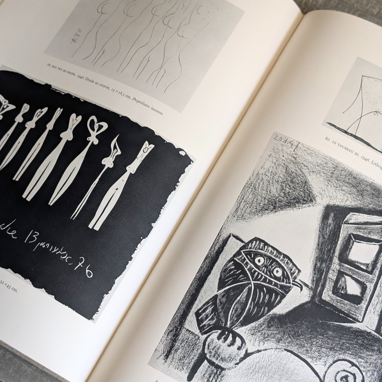 Picasso Book