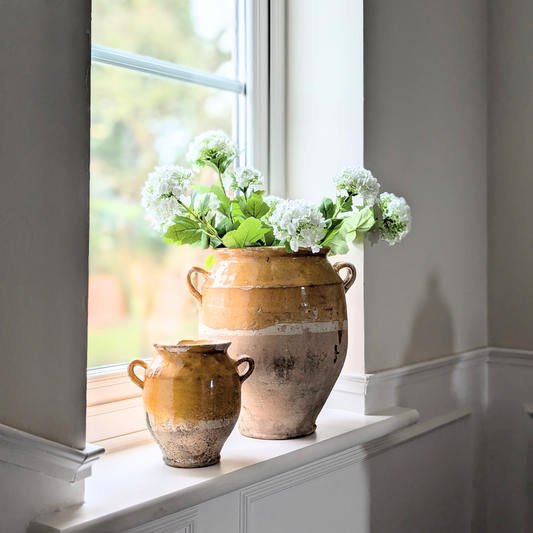 Small Yellow Confit Pot