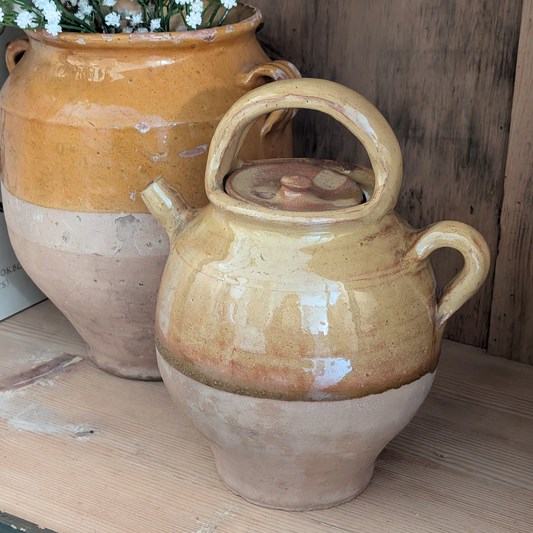 Small Yellow Gargoulette