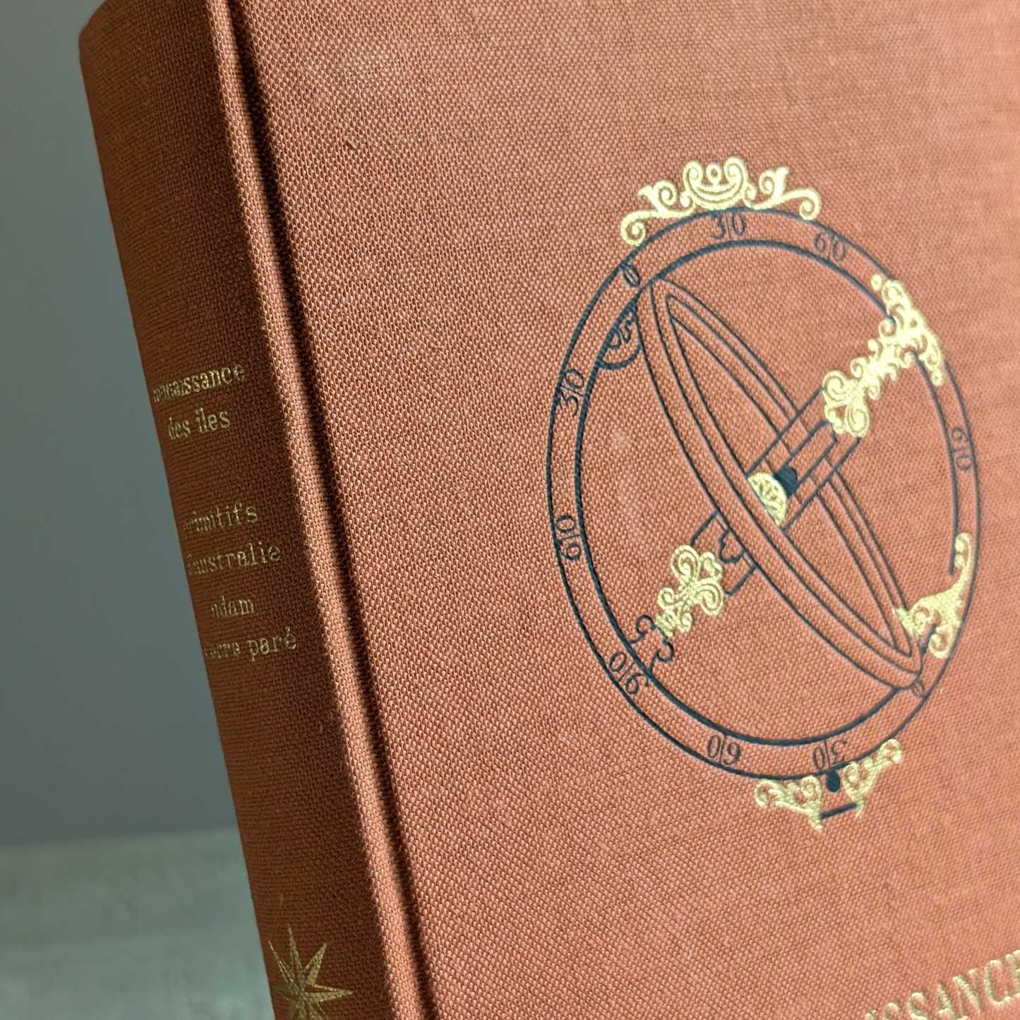 Primitifs d'Australie Book