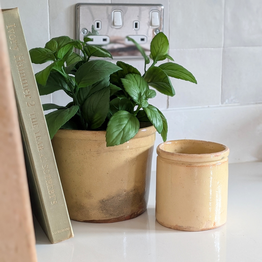Medium Yellow Pot 1