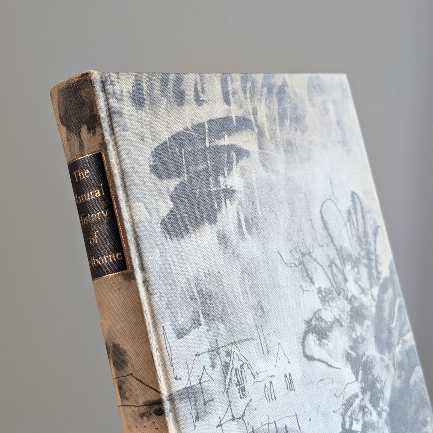 Natural History of Selbourne Book