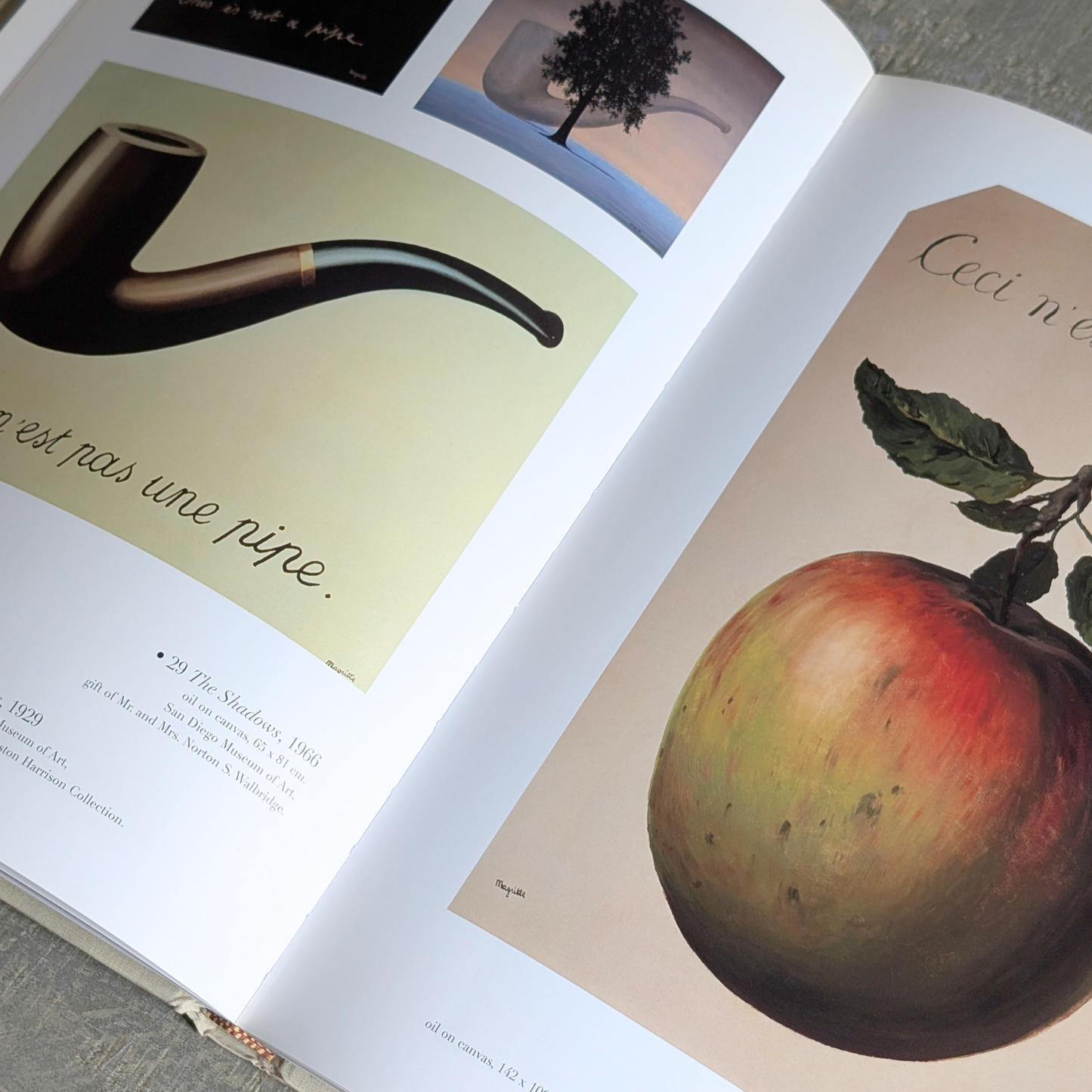 Magritte Book