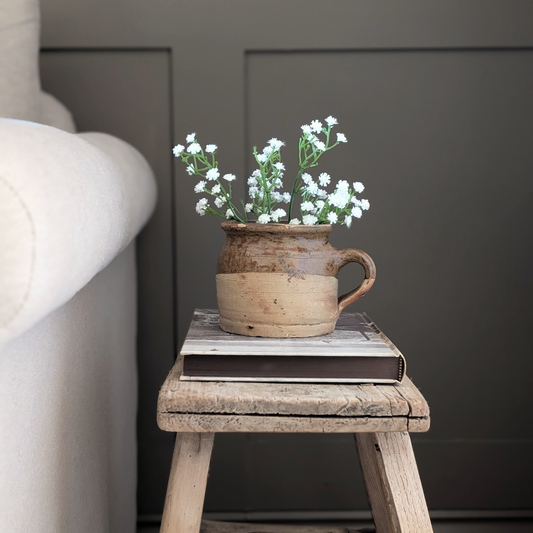 XS Wide Neck French Jug 1