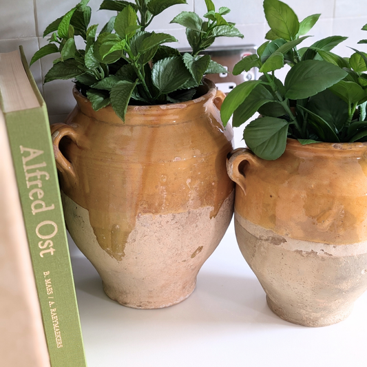 Large Yellow Confit Pot 2