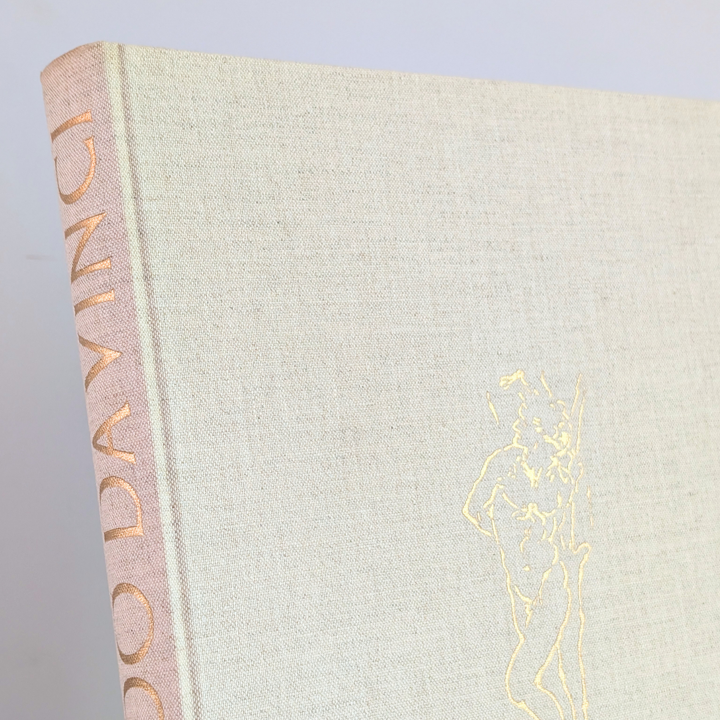 Leonardo Da Vinci Book