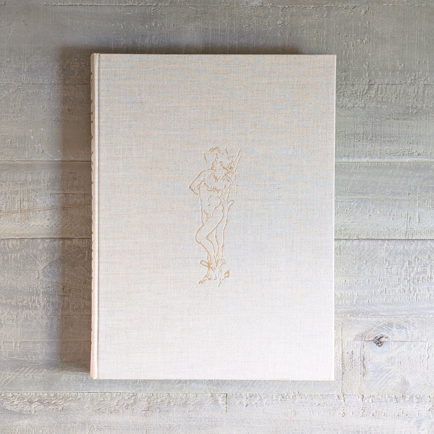 Leonardo Da Vinci Book