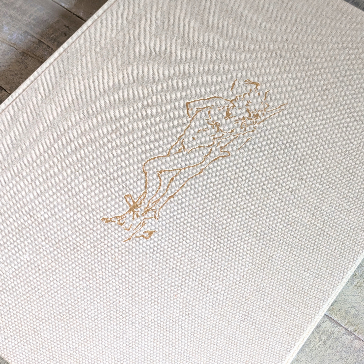 Leonardo Da Vinci Book